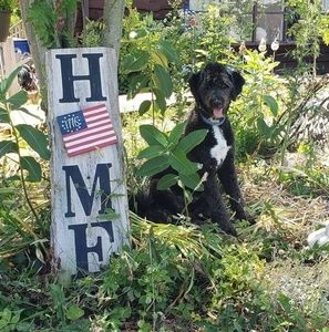 Meet your Posher, John